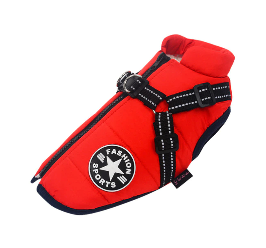 3 in 1 Dog Harness Jacket