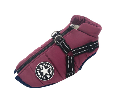 3 in 1 Dog Harness Jacket