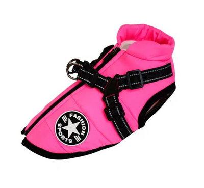 3 in 1 Dog Harness Jacket