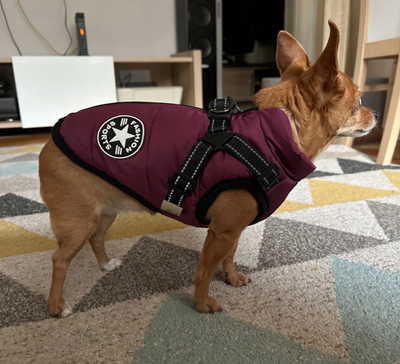 3 in 1 Dog Harness Jacket