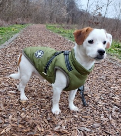 3 in 1 Dog Harness Jacket
