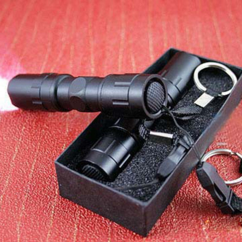 Black Mini Waterproof Keychain LED Flashlight. - Sixty Six Depot