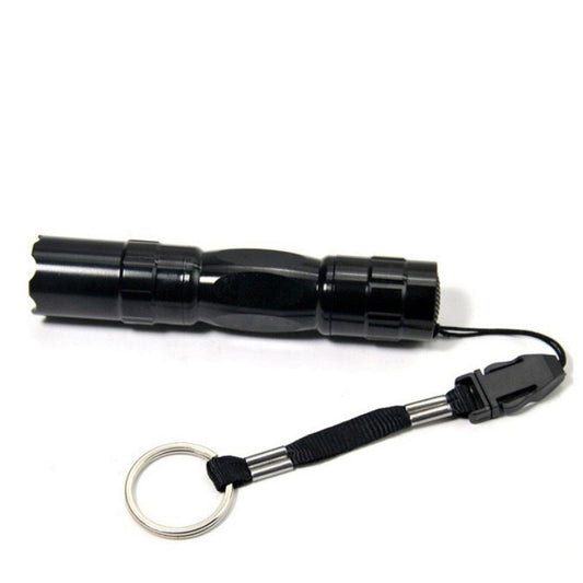 Black Mini Waterproof Keychain LED Flashlight. - Sixty Six Depot