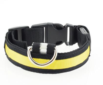 LED Safety DOG Collar